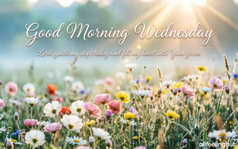 290+ Good Morning Wednesday Blessings, Quotes & Prayers